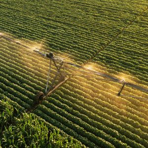 irrigation water treatment